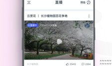 免费下载视频,轻松享受海量影视资源