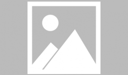 樱花动漫软件,带你领略动漫世界的魅力之旅